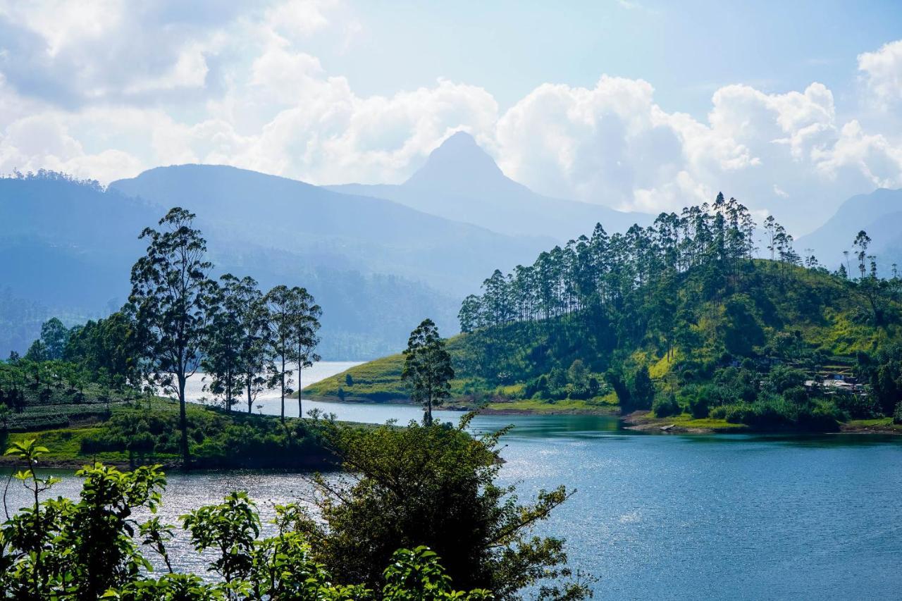 Pekoe Lodge Maskeliya Bagian luar foto